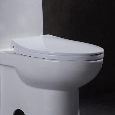 China Elongated Siphonic One Piece Toilet 10 Rough In Leak Proof Soft Closing for sale