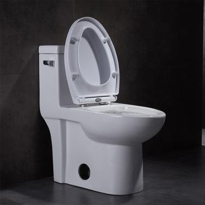 China Dual Flush Elongated One Piece Toilet With Soft Closing Seat 1.28gpf/4.8lpf for sale