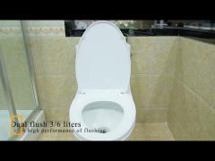 Comfort Height One-Piece Elongated Dual-Flush Toilet With Skirted Trapway