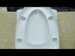 12 Inch Rough In Round Siphonic Dual Flush Toilet Bowls Water Closet