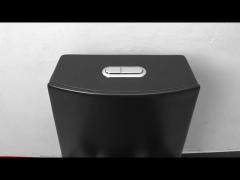 Matte Black One Piece Dual Flush Comfort Height Toilet Top Flush Button