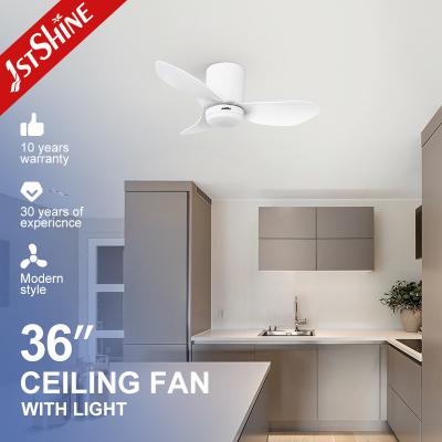 China Small Ceiling Fan Light 36