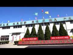 Injection Molding Mold For Custom ABS PP PS PE PVC PA6 PA66 Plastic Molding Parts Companies