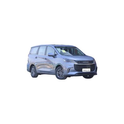 China Manufacturer Price Household Large Space Durable With Guest Business Ev Car 4825x1825x1778 for sale