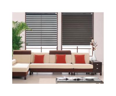 China Waterproof High Quality Gray Outdoor Electric Curtain Wholesale in 2021 Foshan for sale