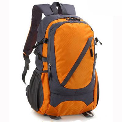 China Factory wholesale price high capacity polyester outdoor travel university bags backpack for sale