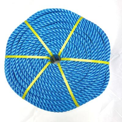 China High Strength Direct Supply Acid Resistant Rope Twisted PP Danline Rope Fishing Net Rope for sale