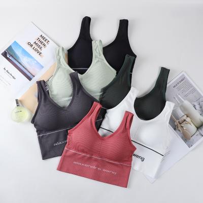 China Best Selling QUICK DRY in Southeast Asia Women Seamless Padded Tube Top Bralette Bralette Yoga Sports Bra for sale