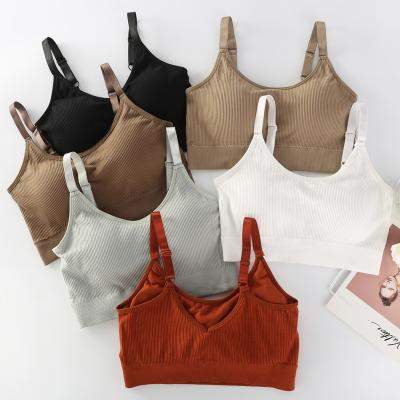 China Sling Breathable Pure Cultured Cotton Top Vest Push Up Sports Sleeveless Yoga Solid Color Underwear Girls Women Wireless Seamless Bra for sale