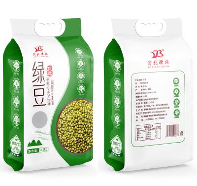 China Moisture Proof OEM Color Printing Vacuum PP Rice Bag Factory Direct Sales Rice Packaging Bags For 5 kg for sale