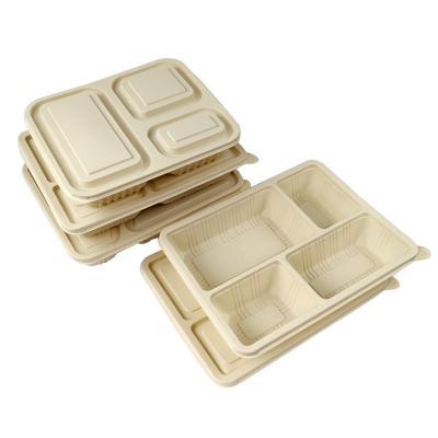 China Rectangle Biodegradable Heatable Bento Box Disposable Cornstarch Food Containers Lunch Box With Lid Food Packaging Container for sale