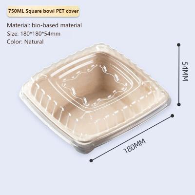 China Eco-Friendly Biodegradable Heatable Disposable Lunch Box Sugarcane Pulp Food Container Bagasse Fast Food Box With Lid for sale