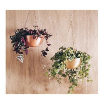 China Modern hanging 3planter flower pot for living room for sale