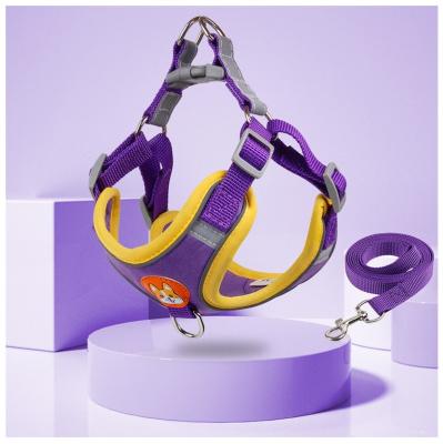 China Colorful Deer Viable Velvet Pet Collars Dog Leash Rope Set Harness And Leash For Small Dog Hot Sale Online. for sale