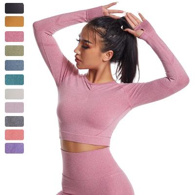 China Amazon Breathable Women Long Sleeve Yoga Fitness T-Shirt Seamless Ribbed Sports Crop Tops for sale