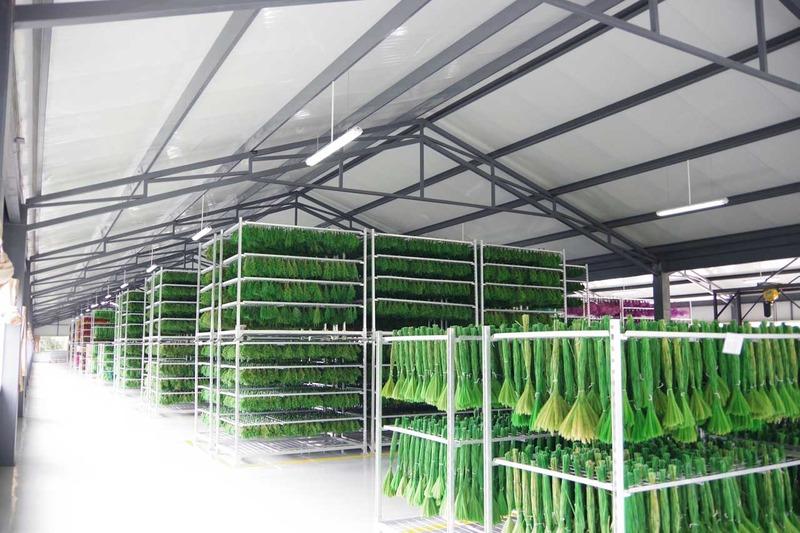 Verified China supplier - Yunnan Luyin Gardening Co., Ltd.