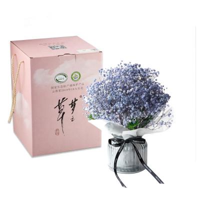 China Beautiful colorful best selling 2021 everlasting everlasting babysbreath preserved flower preserved flower for home decoration and gift for sale