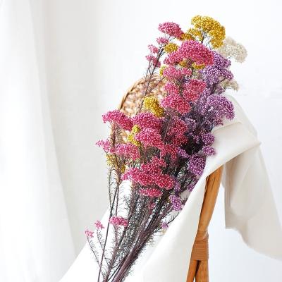 China High quality real touch rice flower dried preserved eternal home decoration 40-60cm fresh natural stem flower bouquets wholesale for sale