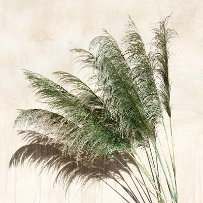 China factory supply 30 pcs amazon best seller 45cm natural dry pampas grass for wedding decoration 120cm for sale