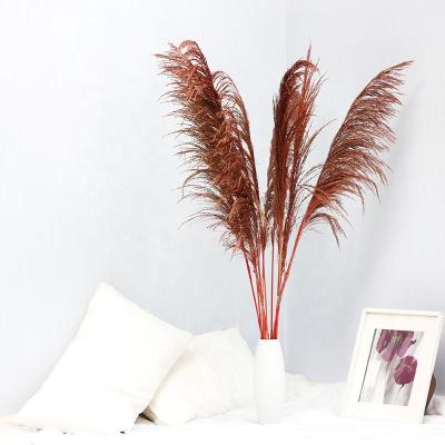 China Hotel decoration factory supply wholesale home pampas grass for home decoration. for sale