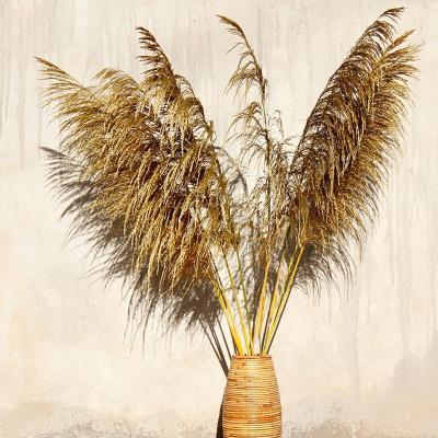 China Party Decorative Golden Pampas Grass Natural Pampas Grass Large For Home Or Weddings Decoration for sale