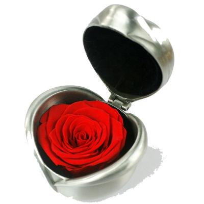 China Wholesale 2020 new idea valentines gift preserved dry flowers and plants preserved roses in perfect gift box sets S for sale