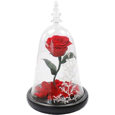 China Hot Selling Natural Touch Preserved Rose Flower Diisney Beauty And The Beast Glass Dome With Gift Box Valentines Day Gift Home Decorations for sale