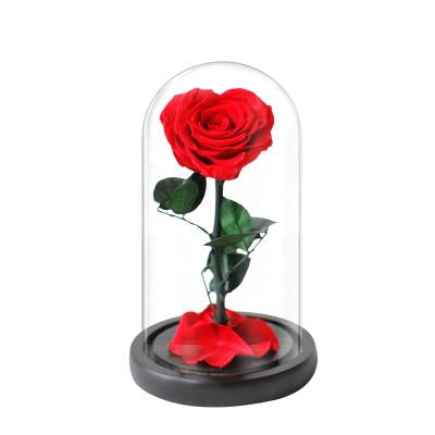 China Premium Rose Wedding Supplies Hot Selling Eternal Amazon Rose Preserved Flowers In Glass Girlfriend Love For Valentine's Day Mother's Day for sale