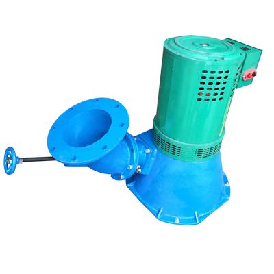 China Iron Casting 10kw Tilting High Water Head Micro Water Turbine Generator for sale