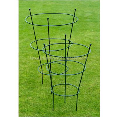 China Tomato Prop 72 High Metal Tomato Spiral Plant Support for sale