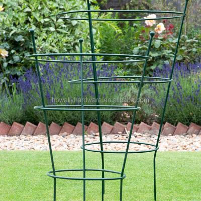 China Tomato Support Galvanized Round And Square Plant Support For Tomato for sale