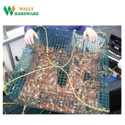 China strong corrosion resistance & China factory long life high quality hot dipped galvanized crab fish lobster trap chicken wire mesh roll for sale