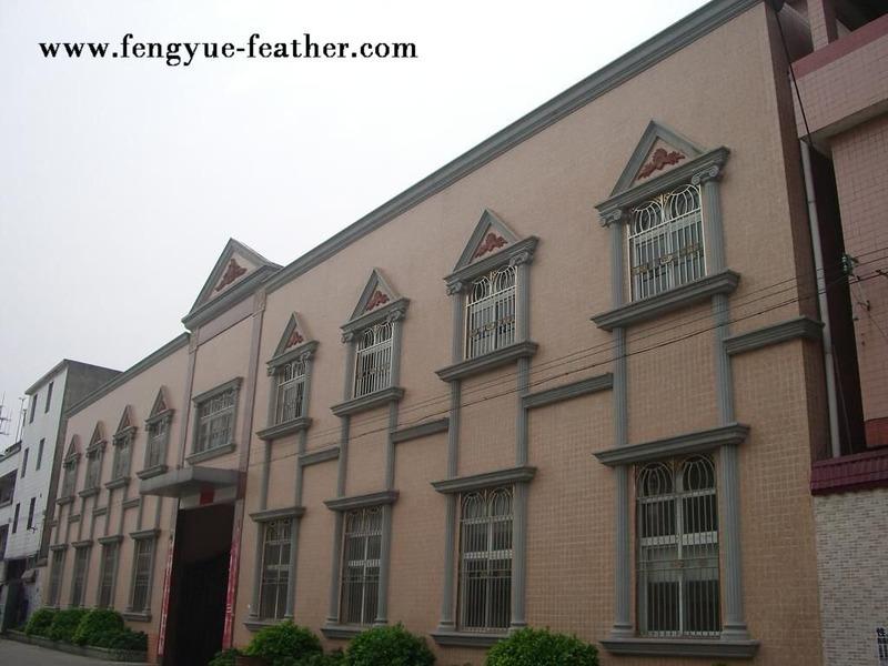 Verified China supplier - Guangzhou Boya Feather Accouterment Limited Company