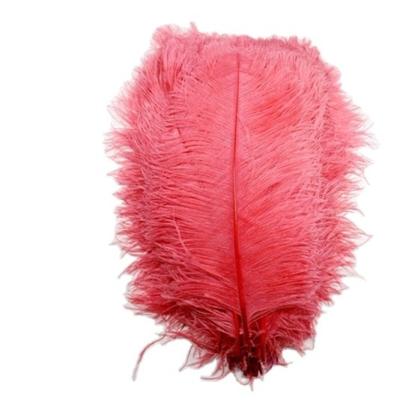 China Ostrich Feathers Feather Ostrich Feathers Feather for sale