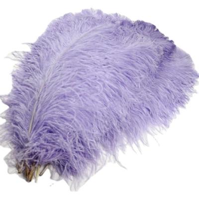 China Ostrich Feather Party Decoration Ostrich Feathers Feather for sale