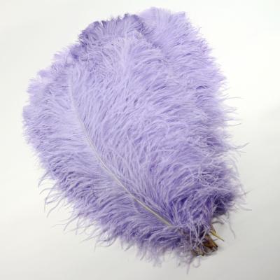 China Ostrich Feather Carnival Costume Decoration Ostrich Feathers Feather for sale