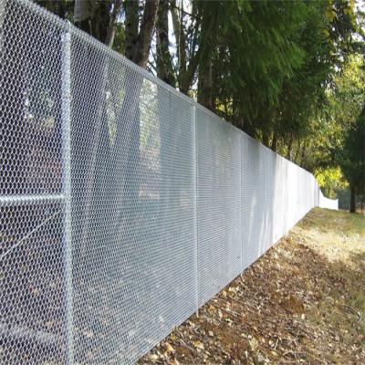 China Manufacturer Wholesale High Security Easily Assembled Garden Galvanized Small Hole Black Chain Link Mini Mesh Fence for sale