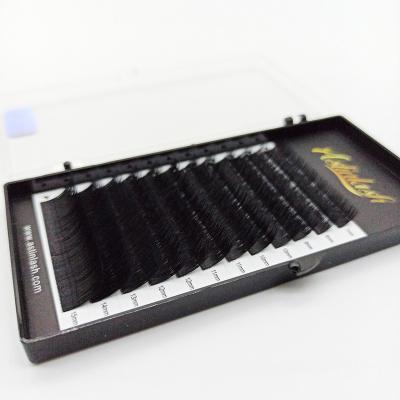 China Different 0.07mm Thickness Waterproof Matte Black Mix Tray Classic Volume Eyelash Extensions Kits for sale