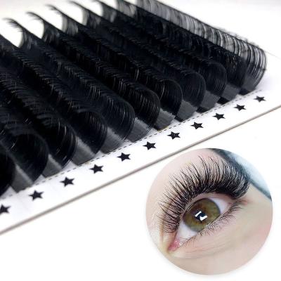 China Korean Automatic Fanning Siberian Mink Easy Fan Eyelash Extensions Super Soft Individual Hand Made Soft Natural Wholesale PBT for sale