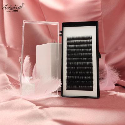 China Natural Long Volume Easy Fanning Eyelash Extensions 0.03 0.05 Automatic Easy Fans Lash Blooming Extension for sale