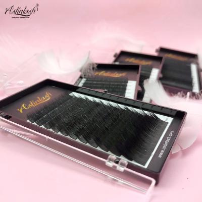 China Natural Long Hair Extension Easy Fanning Blooming Whips Healthy Volume Eyelash Extensions for sale