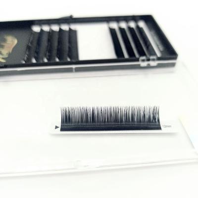 China Astinlash 0.05mm Thickness Individual Eyelash Extension Cashmere Lash Fan Camellia Easy Eyelash for sale