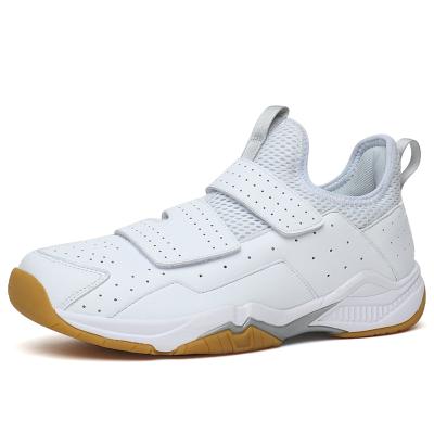 China Athletics Tennis Shoes Factory Direct Sale Sport Shoe Trade Company Women's Tennis Shoes Wholesale Vintage Slip Resistant Flat Tennis Shoe for sale