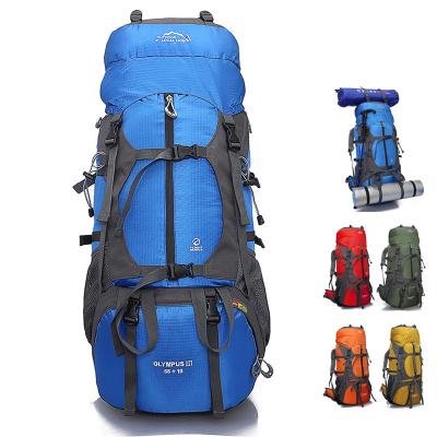 China camping & Travel Rise Hiking Bag Male 65L Large Capacity Travel Tent Camping Hiking Backpacking Female Outdoor Equipment for sale