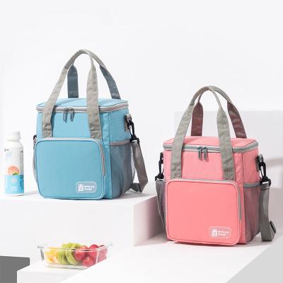 China Waterproof Retail Freezer Delivery Bag Backpack Cooler Cooler Double Layer Ice Box Package Bags Bottle for sale