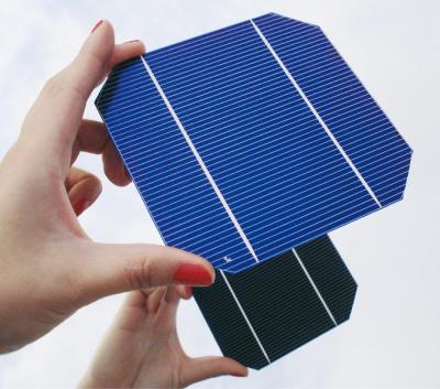 China A Grade No Color Difference Monocrystalline Solar Cell Best For Sale 156mm*156mm for sale