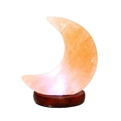 China Trendecor Home Table Light Decoration Led Lamp, USB Powered LED Night Lights Crystal Wood Base Natural Himalayan Hand Carved Salt Lamps for sale