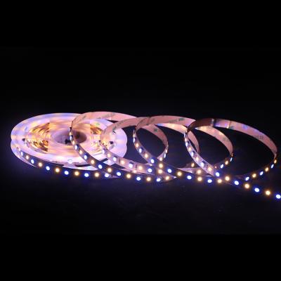 China Landscape RGB 5050 2835 SMD 96LEDs 10mm Width DC12V DC24V Smart TUYA IP20 LED Warm White Indoor Waterproof Strip for sale