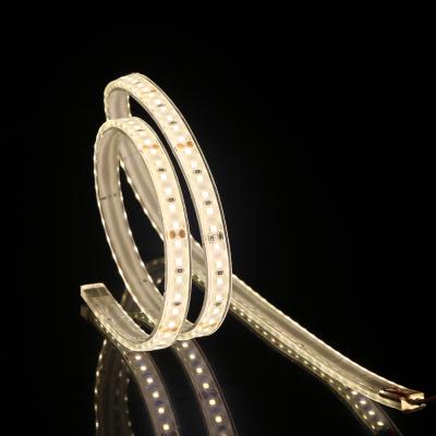 China Landscape SMD 2835 120LEDs 10mm PCB Board DC24 3 Years Warranty IP68 Advanced Waterproof CPU LED Strips for sale