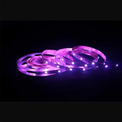 China landscape wifi bluetooth remote cable 12v tv remote flexible smart dream light 5050 rgb waterproof 4mm led strip for sale